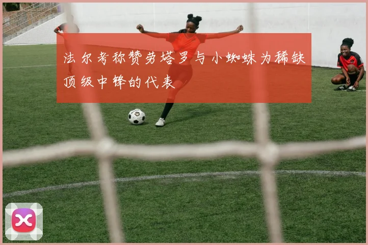 法尔考称赞劳塔罗与小蜘蛛为稀缺顶级中锋的代表
