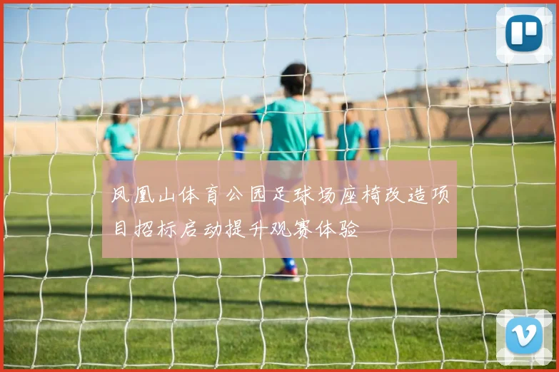 凤凰山体育公园足球场座椅改造项目招标启动提升观赛体验